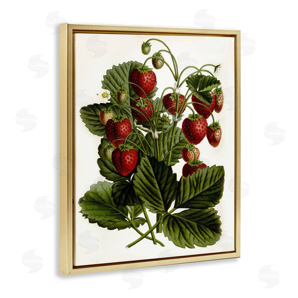 Stupell Industries Lettered And Lined | Strawberry Plant Study