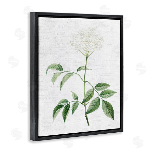 Stupell Industries Lettered And Lined | Subtle Neutral Flower