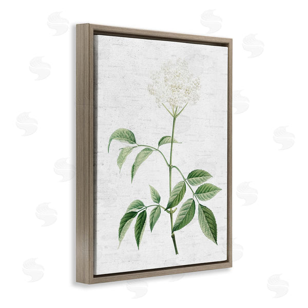 Stupell Industries Lettered And Lined | Subtle Neutral Flower