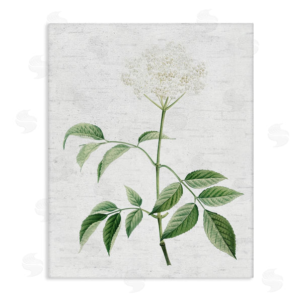 stupell industries Lettered and Lined | Subtle Neutral Flower