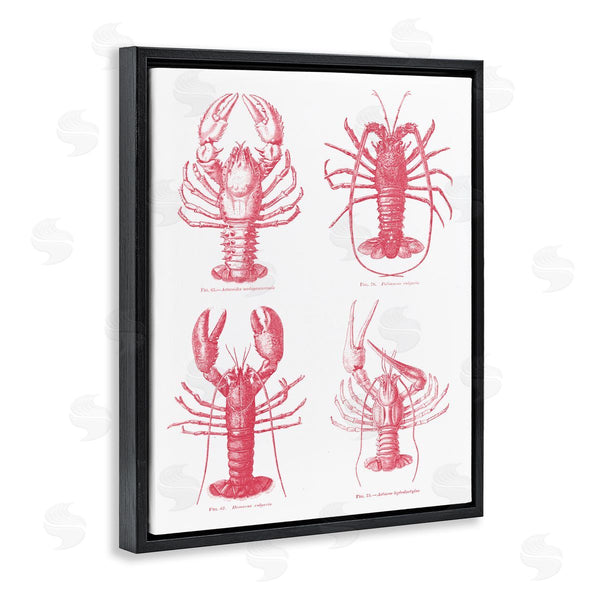 Stupell Industries Lettered And Lined | Timeless Lobsters Species Wall Art