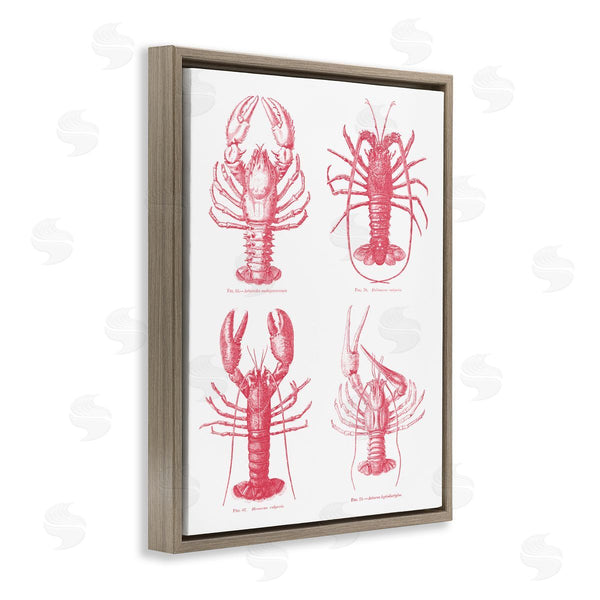 Stupell Industries Lettered And Lined | Timeless Lobsters Species Wall Art