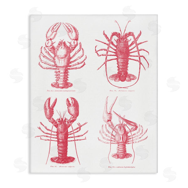 stupell industries Lettered and Lined | Timeless Lobsters Species Wall Art