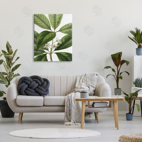 Stupell Industries Lettered And Lined | Tristania Conferta Flower Large Leaf Vegetation Botanical Print Wall Art
