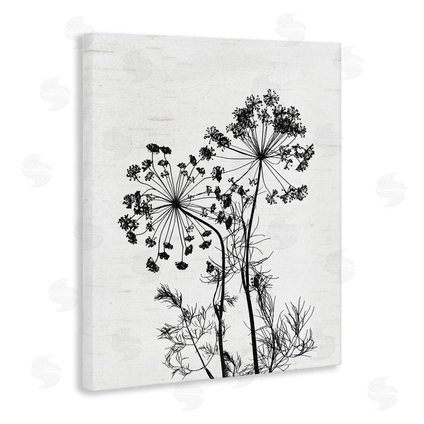 Stupell Industries Lettered And Lined | Varied Botanical Herbs Casual Wildflower Birch Pattern Wall Art