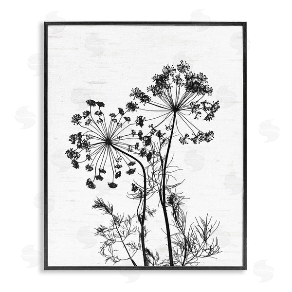 stupell industries Lettered and Lined | Varied Botanical Herbs Casual Wildflower Birch Pattern Wall Art