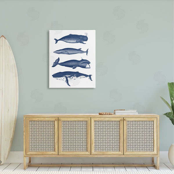 Stupell Industries Lettered And Lined | Various Whales Types Sea Life Detailed Illustrations Wall Art
