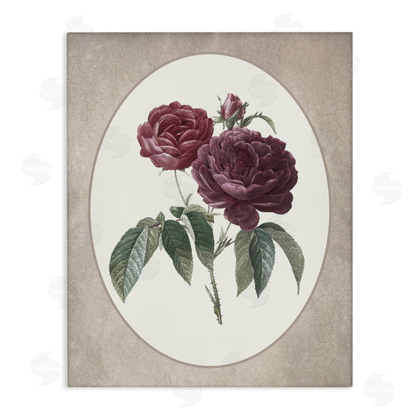 stupell industries Lettered and Lined | Vintage Blooms within Oval Wall Art