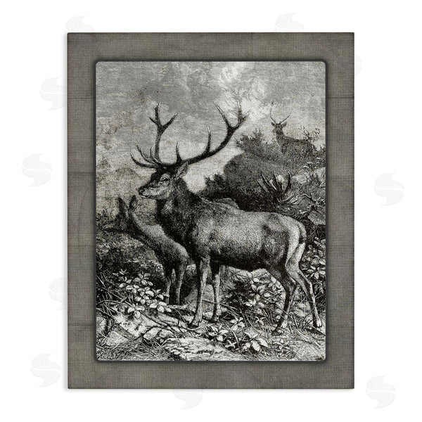 stupell industries Lettered and Lined | Vintage Forest Elk Scenery