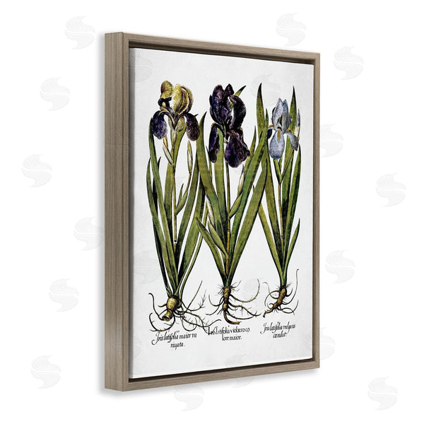 Stupell Industries Lettered And Lined | Vintage Iris Studies