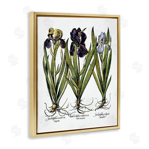 Stupell Industries Lettered And Lined | Vintage Iris Studies