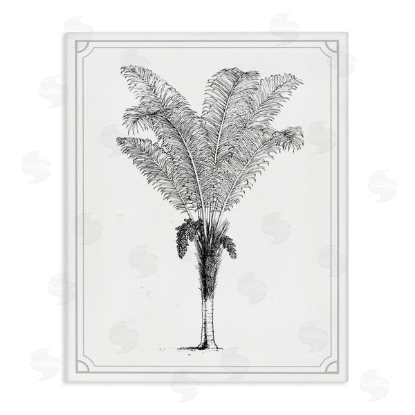 stupell industries Lettered and Lined | Vintage & Minimal Palm Wall Art