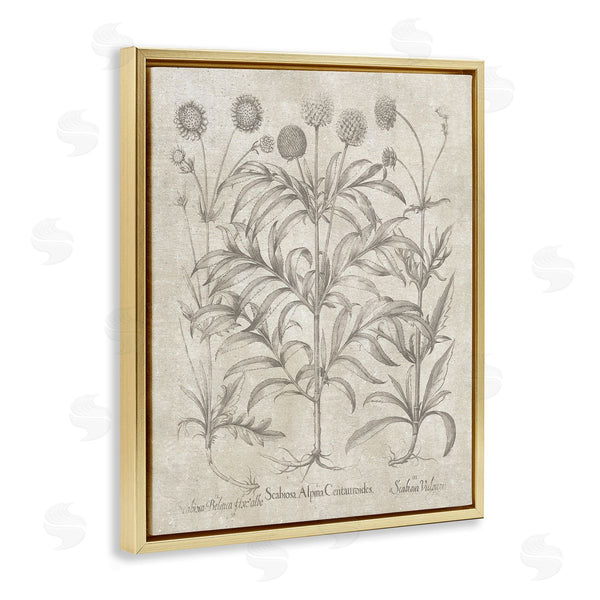 Stupell Industries Lettered And Lined | Vintage Plant Life