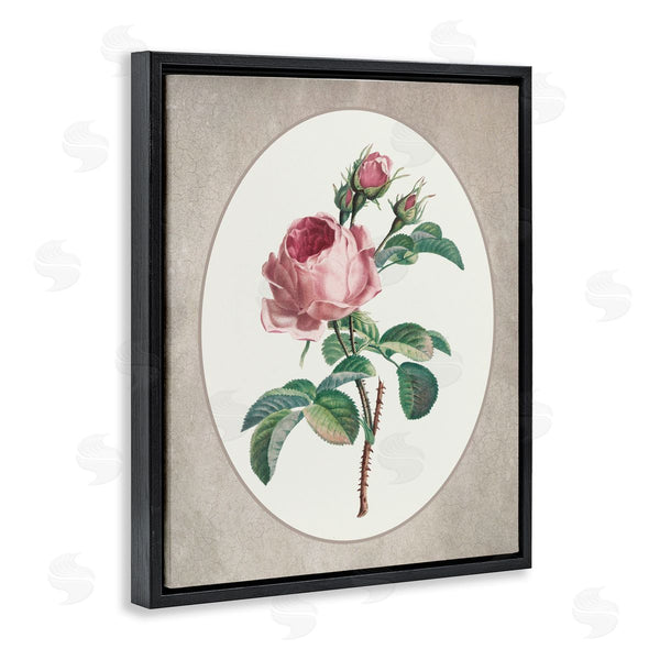 Stupell Industries Lettered And Lined | Vintage Rose Within Oval Wall Art