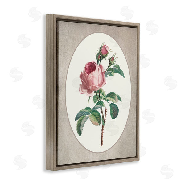 Stupell Industries Lettered And Lined | Vintage Rose Within Oval Wall Art