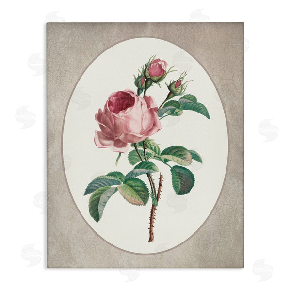 stupell industries Lettered and Lined | Vintage Rose within Oval Wall Art