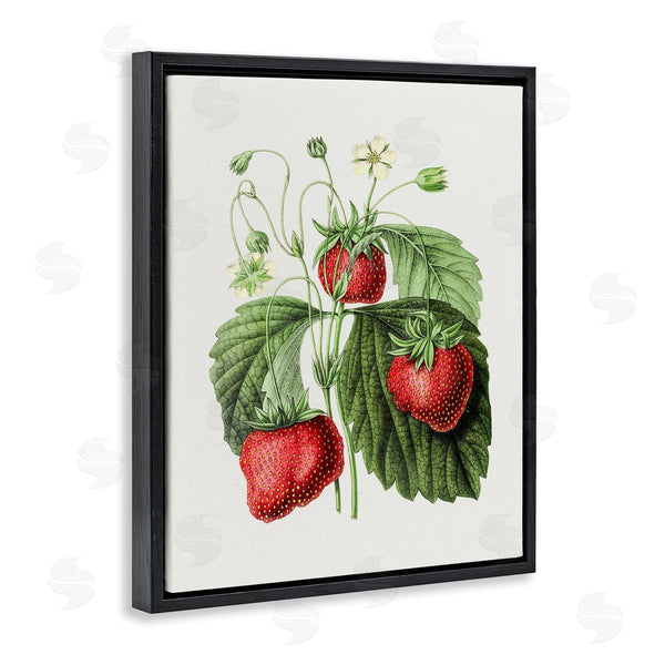 Stupell Industries Lettered And Lined | Vintage Strawberries Study