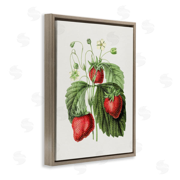 Stupell Industries Lettered And Lined | Vintage Strawberries Study