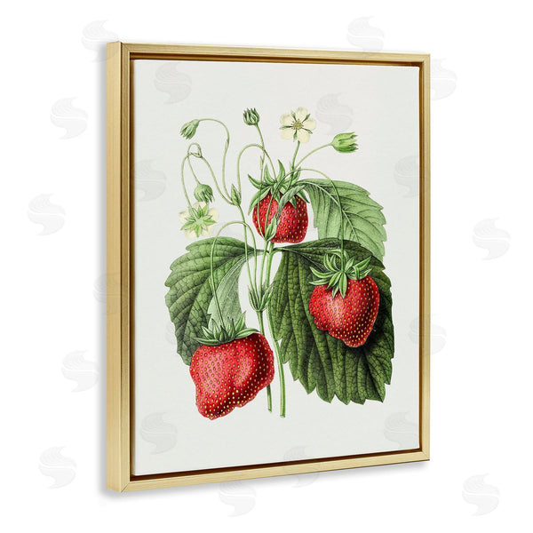 Stupell Industries Lettered And Lined | Vintage Strawberries Study