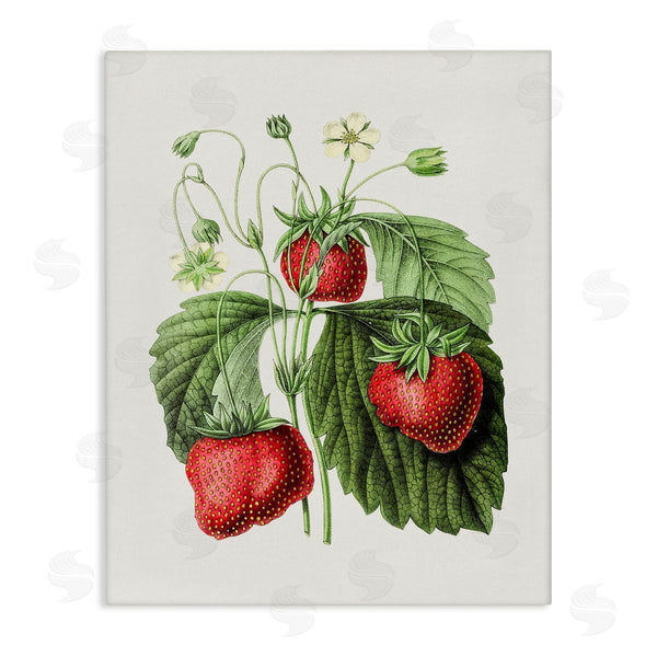 stupell industries Lettered and Lined | Vintage Strawberries Study