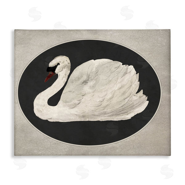 stupell industries Lettered and Lined | Vintage Swan in Rounded Oval