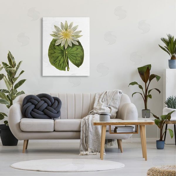 Stupell Industries Lettered And Lined | Vintage Water Lily Floral And Pond Plant Pad Wall Art