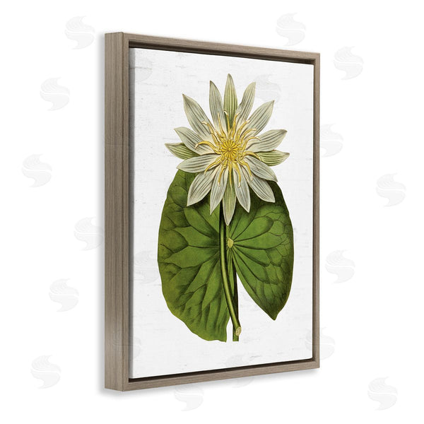 Stupell Industries Lettered And Lined | Vintage Water Lily Floral And Pond Plant Pad Wall Art