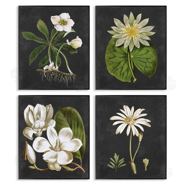 Stupell Industries Lettered And Lined | Vintage White Florals Over Distressed Wall Art