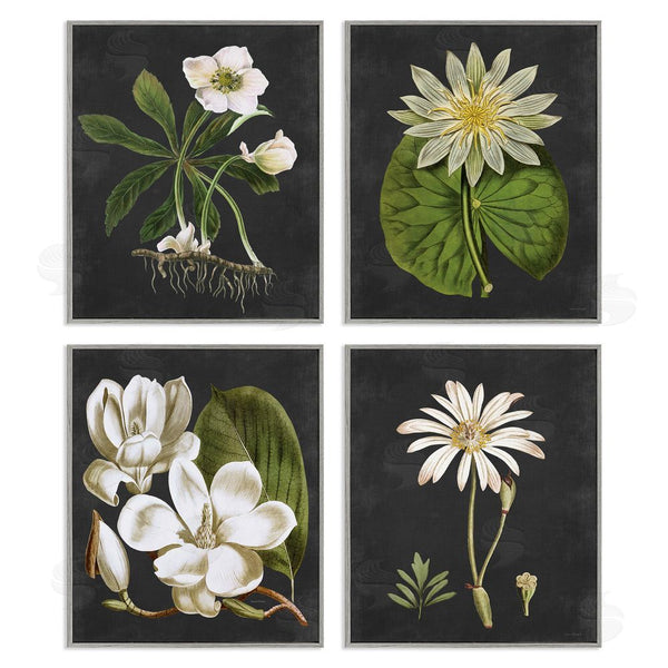 Stupell Industries Lettered And Lined | Vintage White Florals Over Distressed Wall Art
