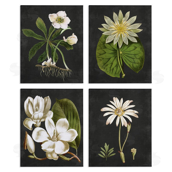stupell industries Lettered and Lined | Vintage White Florals over Distressed Wall Art