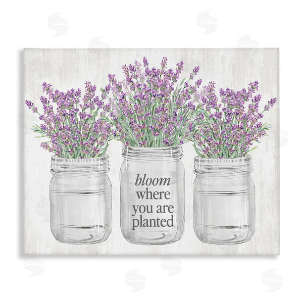 stupell industries Lettered and Lined | Where You're Planted Rustic Wall Art