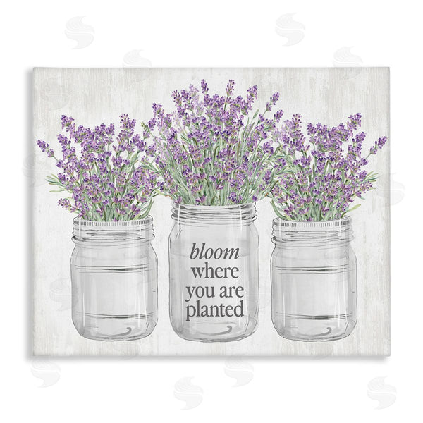 stupell industries Lettered and Lined | Where You're Planted
