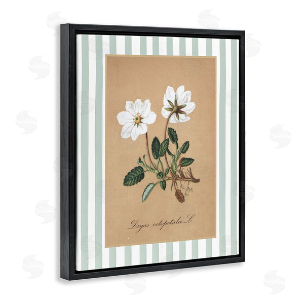Stupell Industries Lettered And Lined | White Flower Green Stripes