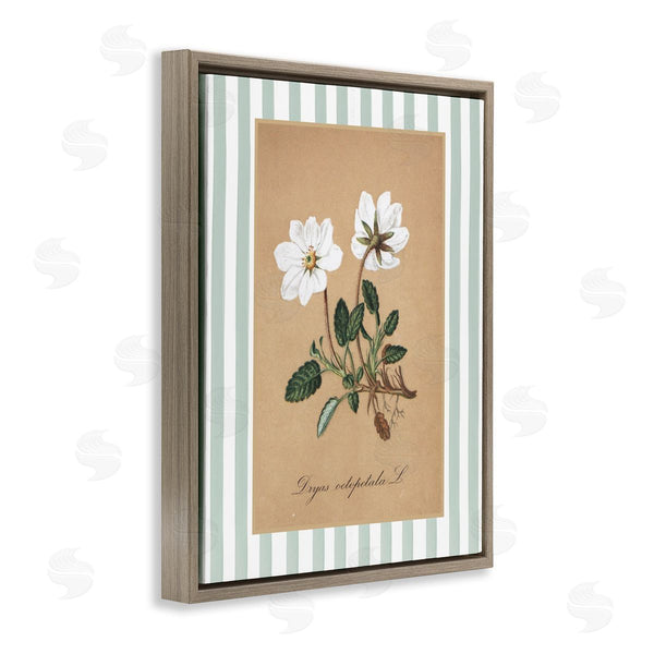Stupell Industries Lettered And Lined | White Flower Green Stripes