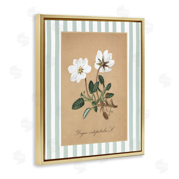 Stupell Industries Lettered And Lined | White Flower Green Stripes