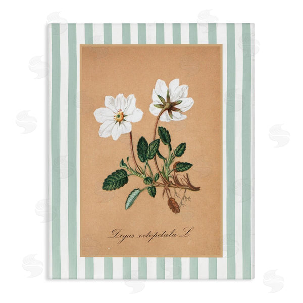stupell industries Lettered and Lined | White Flower Green Stripes