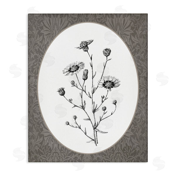 stupell industries Lettered and Lined | Wild Daisies Bundle