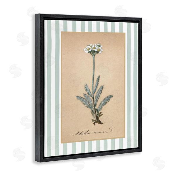 Stupell Industries Lettered And Lined | Wild Herb With Green Stripes