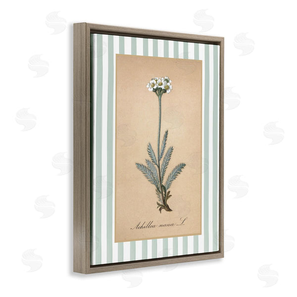 Stupell Industries Lettered And Lined | Wild Herb With Green Stripes