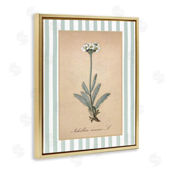 Stupell Industries Lettered And Lined | Wild Herb With Green Stripes