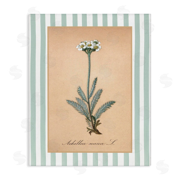 stupell industries Lettered and Lined | Wild Herb with Green Stripes