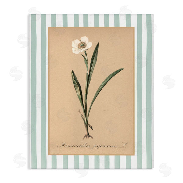 stupell industries Lettered and Lined | Wild Poppy with Green Stripes