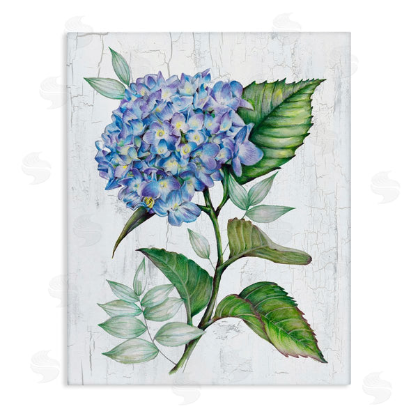 stupell industries Levison Design | English Manor Hydrangea Wall Art