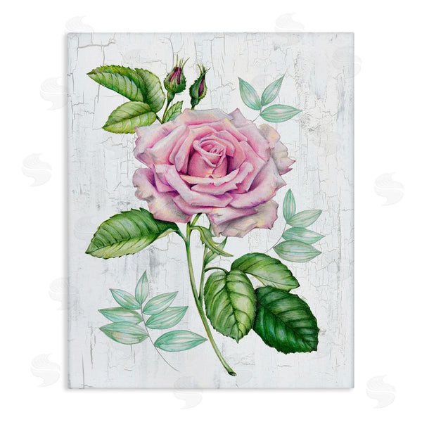 stupell industries Levison Design | English Manor Rose