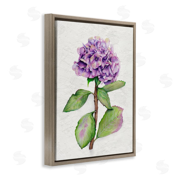 Stupell Industries Levison Design | European Style Hydrangea