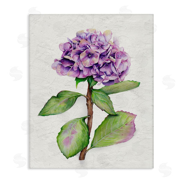 stupell industries Levison Design | European Style Hydrangea