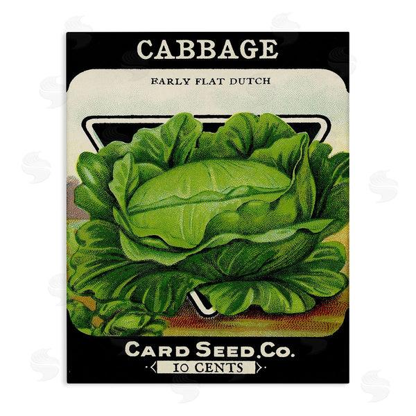 stupell industries Lil' Rue | Vintage Gardening Cabbage