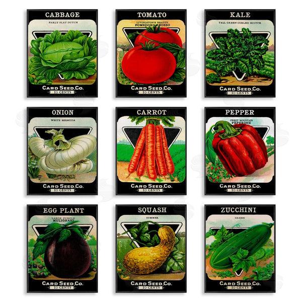 Stupell Industries Lil' Rue | Vintage Gardening Vegetables Wall Art