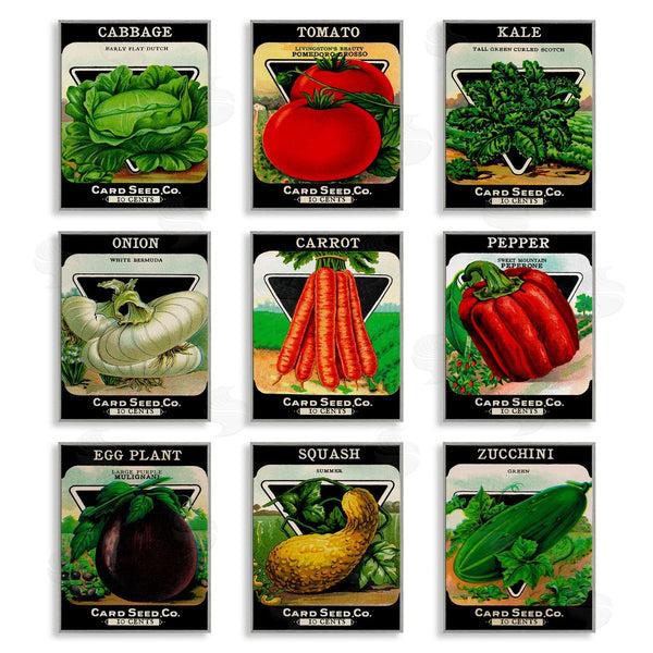 Stupell Industries Lil' Rue | Vintage Gardening Vegetables Wall Art
