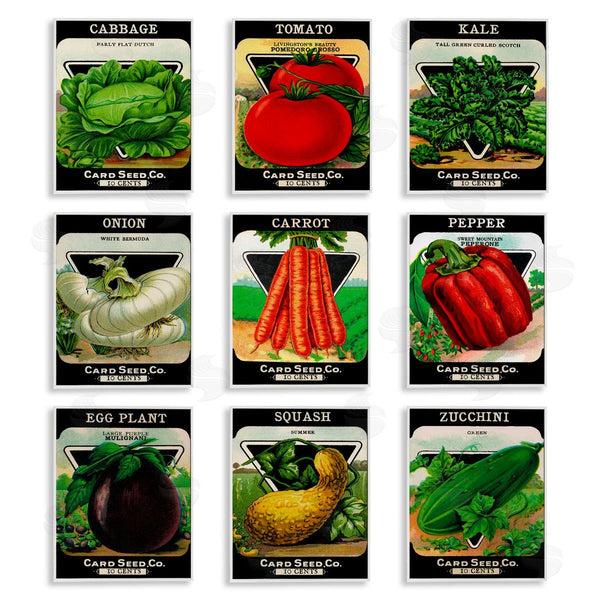 Stupell Industries Lil' Rue | Vintage Gardening Vegetables Wall Art